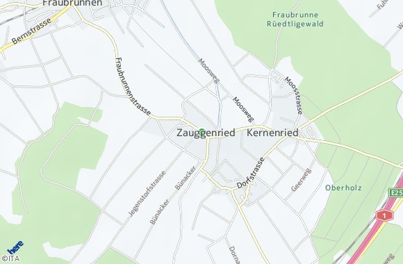 Zauggenried